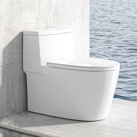 Bồn cầu 1 khối, bệt vệ sinh CR884