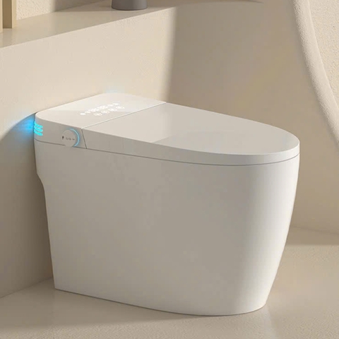 Bồn cầu thông minh CR 6942