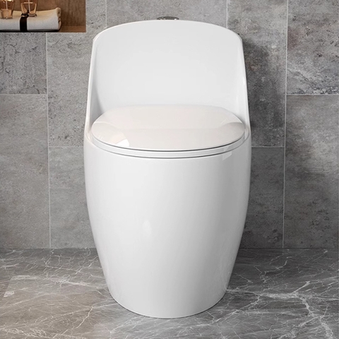 Bồn cầu 1 khối, bệt vệ sinh CR6666