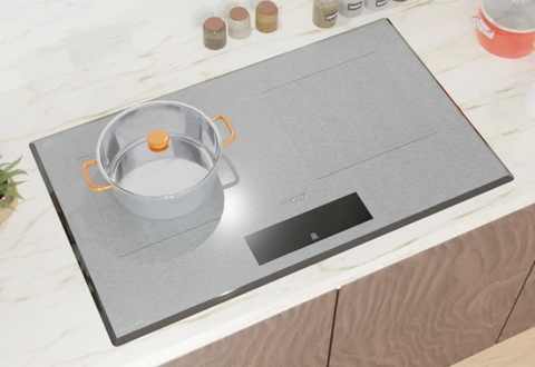 Bếp từ đôi Canzy CZ-9928P – Nhập Đức