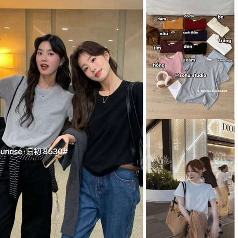 ÁO THUN S.SUNRISE TRƠN CỔ TRÒN Basic COTTON MỊN QCCC 8530# H562 from thoải mái mát mẻ