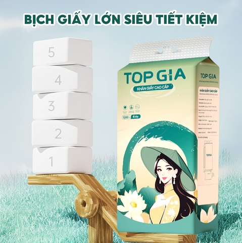 Giấy rút đáy treo tường Sắc Việt