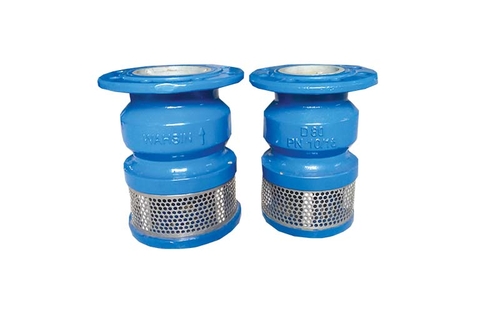 RỌ BƠM (VAN HÚT) WAHSIN – VIỆT NAM DN50–DN300