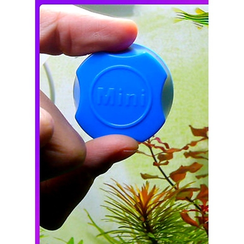 Chà Hồ Nam Châm Tròn Mini - Vệ Sinh Hồ Cá