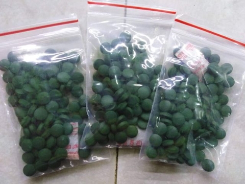 Tảo viên thức ăn cho atermia 100 viên