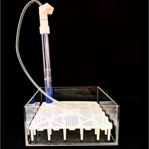 Hộp Kính Có Lỗ Out Lọc Taiwan Cho Hồ Cá Thủy Sinh