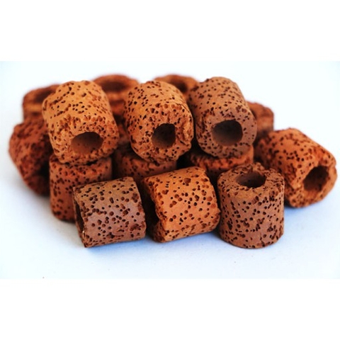 Sứ viên đỏ cho hồ cá thủy sinh