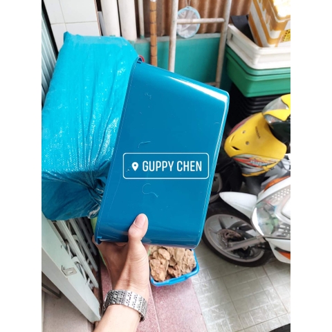 Khay Nhựa 5 Lít Nuôi Cá, Ép Cá kích Thước 30x15x15cm