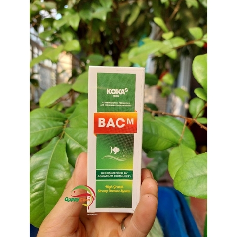 KOIKA BAC M ( 10ML - 30ML ) Vi Sinh Đường Ruột và Vitamin Cao Cấp