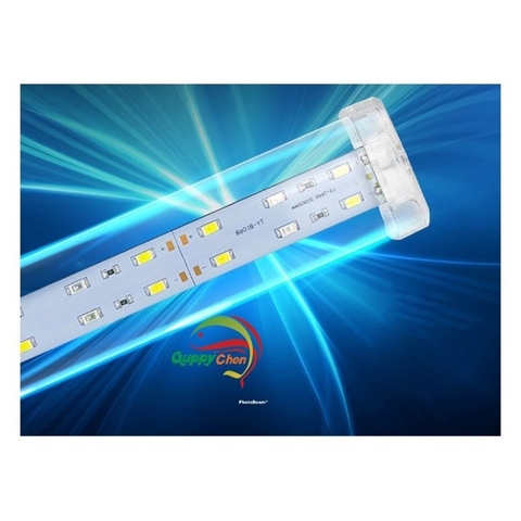 Đèn Led Kẹp Thủy Tinh 3 Dãy Bóng - 3 Chế Độ Màu - Led Kẹp KK Trang Trí Cho Bể Cá