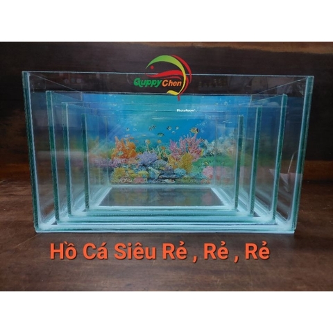 Hồ Kính Giá Rẻ 4li Có Dán Sẵn Phông Nền ( GIAO HỎA TỐC TPHCM)