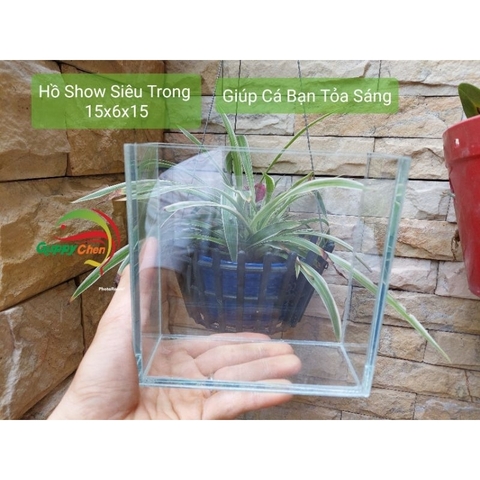 Hồ Show Cá - Kính Siêu Trong - Giúp Cá Bạn Tỏa Sáng ( GIAO HỎA TỐC HCM )