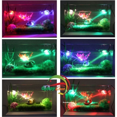 Đèn Led Trang Trí Bể Cá - Tự Động Chuyển Màu - Led Mini Lamp ( 1w )