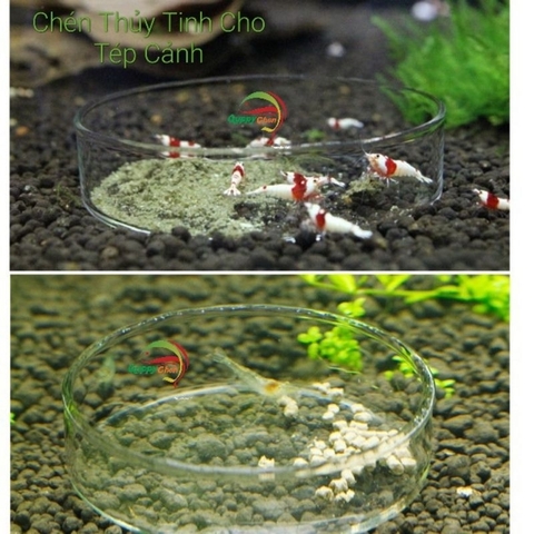 Chén đựng thức ăn mica siêu trong cho hồ thủy sinh