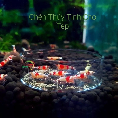 Chén đựng thức ăn mica siêu trong cho hồ thủy sinh