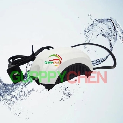 Máy oxi 1 vòi 2 vòi Jeneca AP1688 - AP2688 cho hồ cá