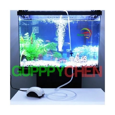 Máy oxi 1 vòi 2 vòi Jeneca AP1688 - AP2688 cho hồ cá