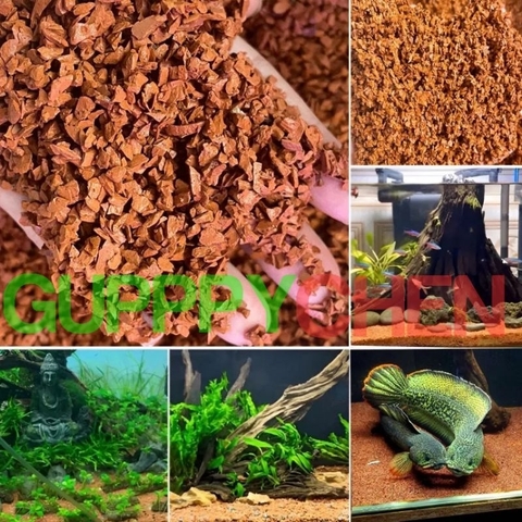 Sạn Gốm Ceramic Trải Nền Cho Hồ Cá Lóc , Tép, Thủy Sinh