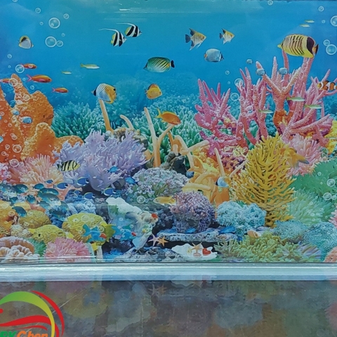 Hồ Kính Giá Rẻ 4li Có Dán Sẵn Phông Nền ( GIAO HỎA TỐC TPHCM)