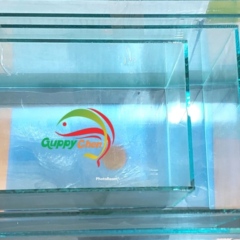 Hồ Kính Giá Rẻ 4li Có Dán Sẵn Phông Nền ( GIAO HỎA TỐC TPHCM)