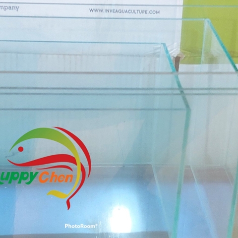 Hồ Kính Giá Rẻ 4li Có Dán Sẵn Phông Nền ( GIAO HỎA TỐC TPHCM)