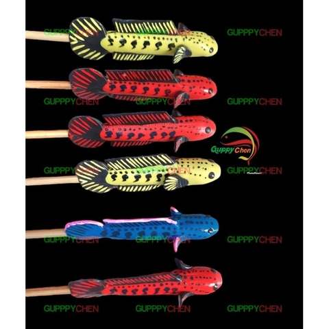 Cây Kè Cá Lóc Dùng Cho Hồ Cá Hàng Đẹp