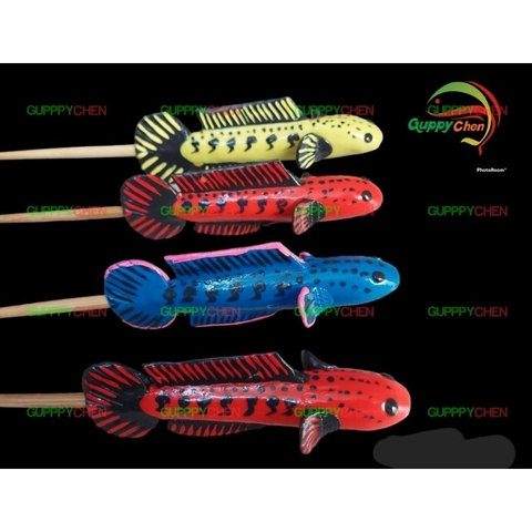 Cây Kè Cá Lóc Dùng Cho Hồ Cá Hàng Đẹp