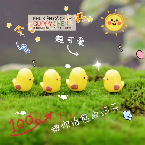 Mô Hình Tiểu Cảnh " Gà Con Mini " Phụ Kiện Trang Trí Hồ Cá và Terarium