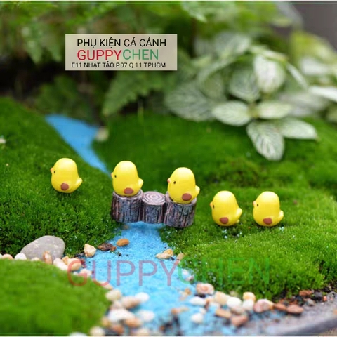 Mô Hình Tiểu Cảnh " Gà Con Mini " Phụ Kiện Trang Trí Hồ Cá và Terarium