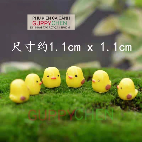 Mô Hình Tiểu Cảnh " Gà Con Mini " Phụ Kiện Trang Trí Hồ Cá và Terarium