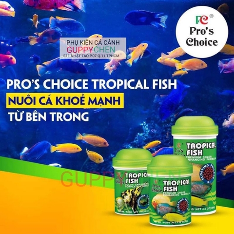 Thức Ăn Dành Cho Cá Ông Tiên - Cá Thần Tiên  - TROPICAL FISH Dạng Lá