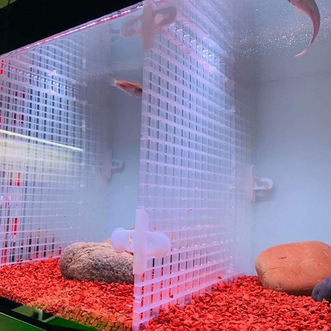 Sạn Gốm Ceramic Trải Nền Cho Hồ Cá Lóc , Tép, Thủy Sinh