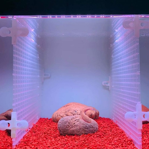 Sạn Gốm Ceramic Trải Nền Cho Hồ Cá Lóc , Tép, Thủy Sinh