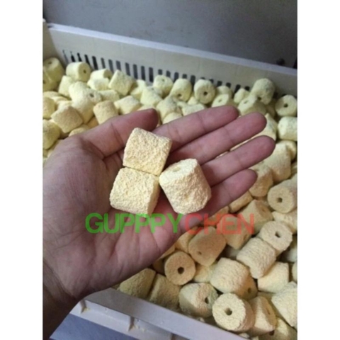 Sứ viên trụ hoa mai - vật liệu lọc cao cấp cho hồ cá