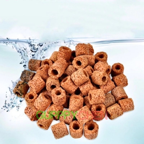 Sứ viên đỏ cho hồ cá thủy sinh