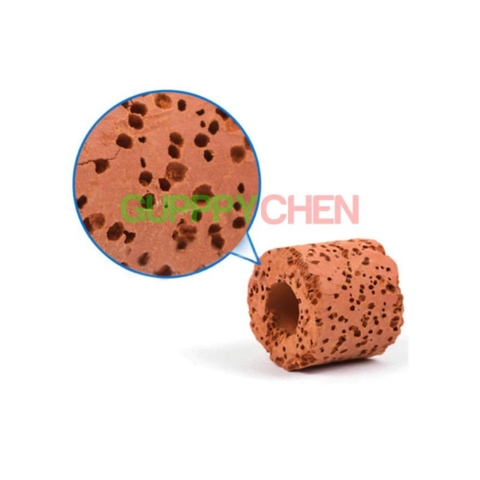 Sứ viên đỏ cho hồ cá thủy sinh