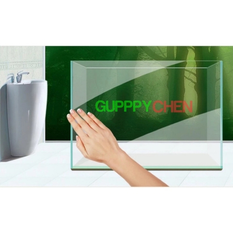 [HOẢ TỐC HCM] Hồ Kính Siêu Trong, Bể Kính Siêu Trong Hồ Thủy Sinh, Hồ Nuôi Tép