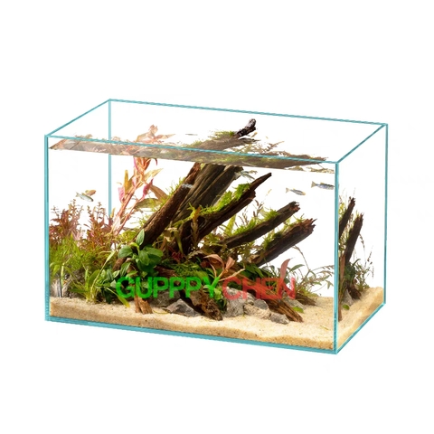 [HOẢ TỐC HCM] Hồ Kính Siêu Trong, Bể Kính Siêu Trong Hồ Thủy Sinh, Hồ Nuôi Tép