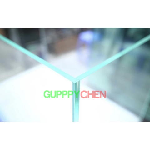 [HOẢ TỐC HCM] Hồ Kính Siêu Trong, Bể Kính Siêu Trong Hồ Thủy Sinh, Hồ Nuôi Tép