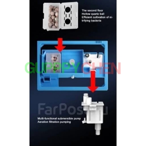 (HOẢ TỐC HCM) Bộ Hồ Cá Ngôi Nhà Xanh SUNSUN TF-250 - Tích hợp đèn, máy bơm, kính siêu trong cao cấp