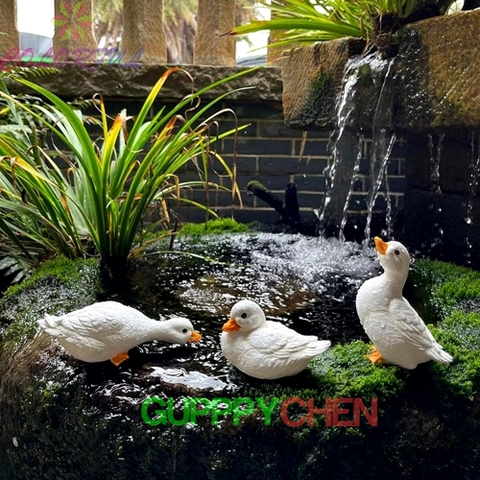 Bộ 3 Con Vịt Trang Trí Hồ Cá Thủy Sinh Tiểu Cảnh Terrarium Decor Sân Vườn