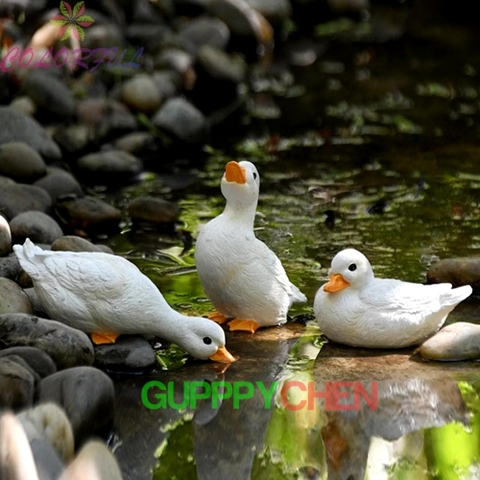 Bộ 3 Con Vịt Trang Trí Hồ Cá Thủy Sinh Tiểu Cảnh Terrarium Decor Sân Vườn