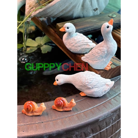 Bộ 3 Con Vịt Trang Trí Hồ Cá Thủy Sinh Tiểu Cảnh Terrarium Decor Sân Vườn