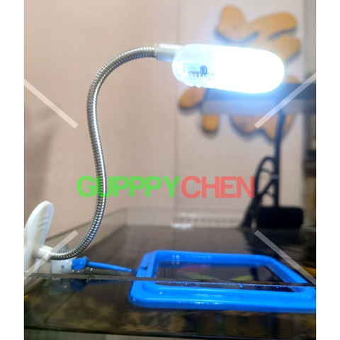 Hồ Nhựa Mini Nuôi Cá 15x12x15 - Betta , Guppy , Cá Thủy Sinh - Cao Cấp Siêu Trong