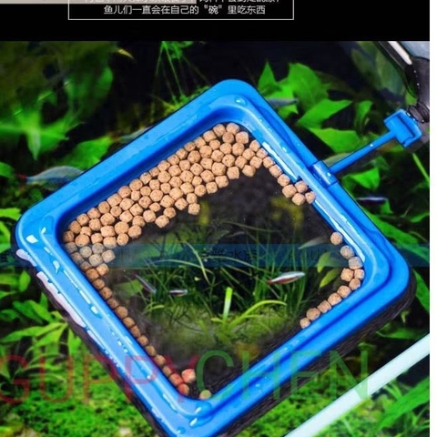 Vòng đựng cám hình tròn và vuông cho cá