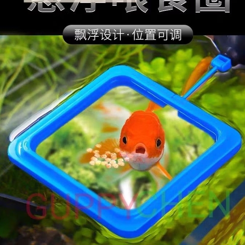 Vòng đựng cám hình tròn và vuông cho cá