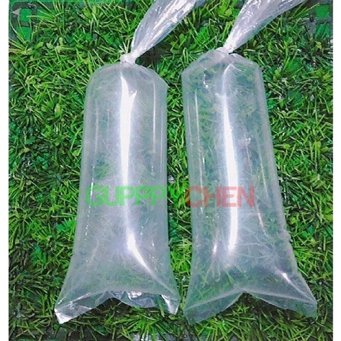 Bịch nilong để đóng và ship cá