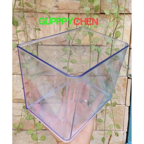 Hồ Nhựa Mini Nuôi Cá 15x12x15 - Betta , Guppy , Cá Thủy Sinh - Cao Cấp Siêu Trong