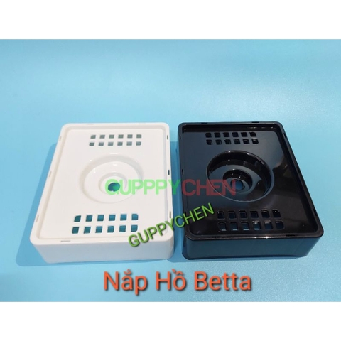 Hồ Nhựa Mini Nuôi Cá 15x12x15 - Betta , Guppy , Cá Thủy Sinh - Cao Cấp Siêu Trong