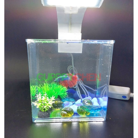 Hồ Nhựa Mini Nuôi Cá 15x12x15 - Betta , Guppy , Cá Thủy Sinh - Cao Cấp Siêu Trong